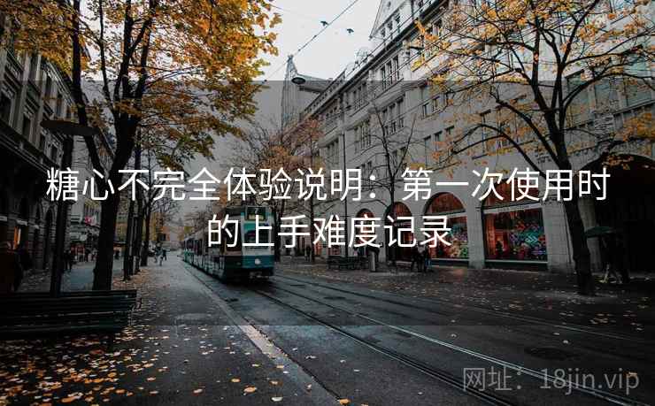 糖心不完全体验说明：第一次使用时的上手难度记录
