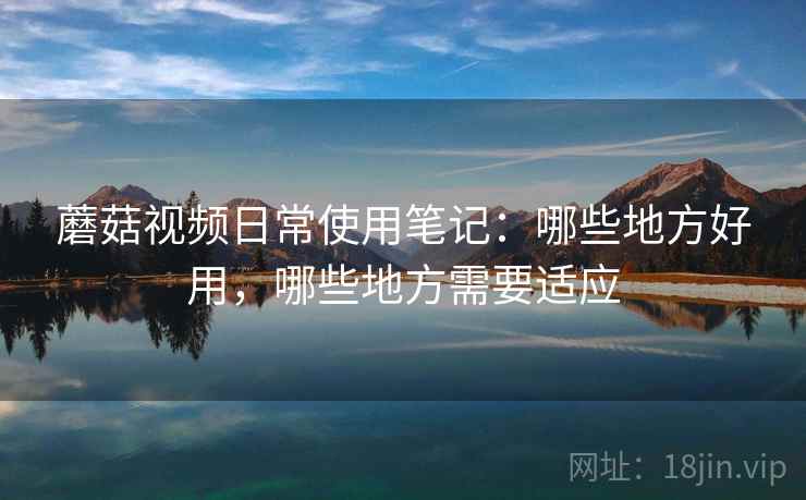 蘑菇视频日常使用笔记：哪些地方好用，哪些地方需要适应