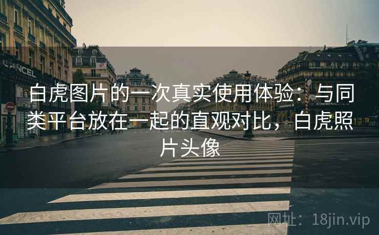 白虎图片的一次真实使用体验：与同类平台放在一起的直观对比，白虎照片头像