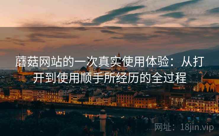 蘑菇网站的一次真实使用体验：从打开到使用顺手所经历的全过程