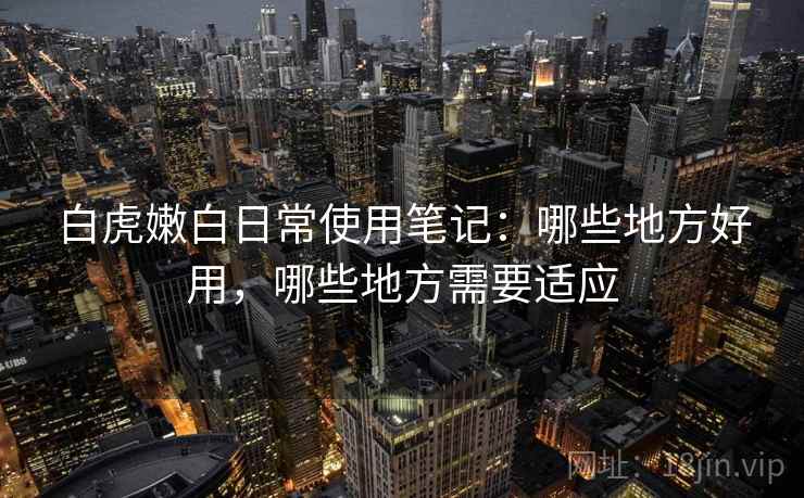 白虎嫩白日常使用笔记：哪些地方好用，哪些地方需要适应