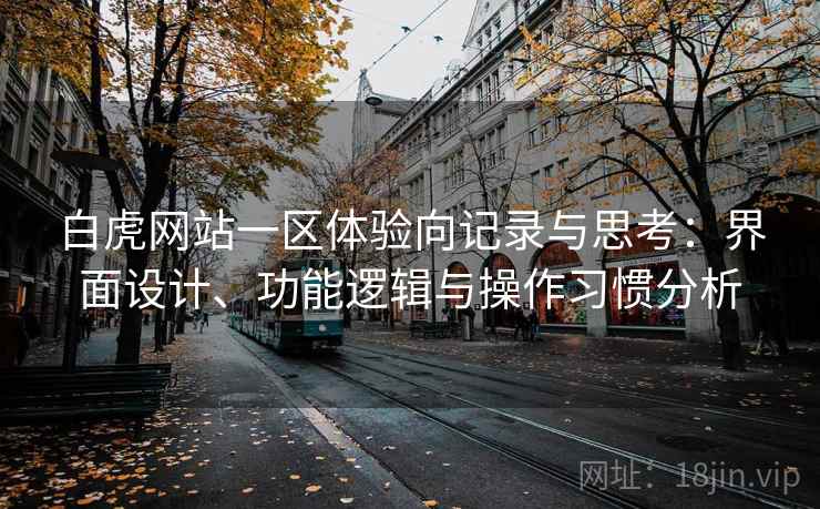 白虎网站一区体验向记录与思考：界面设计、功能逻辑与操作习惯分析
