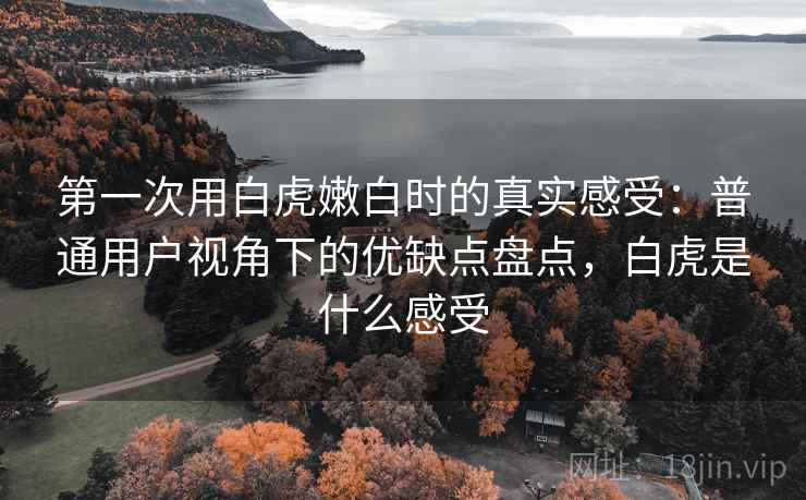 第一次用白虎嫩白时的真实感受：普通用户视角下的优缺点盘点，白虎是什么感受