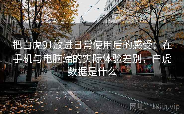 把白虎91放进日常使用后的感受:在手机与电脑端的实际体验差别,白虎数据是什么 把白虎91放进日常使用后的感受:在手机与电脑端的实际体验差别,白虎数据是什么