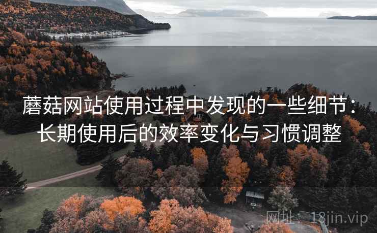 蘑菇网站使用过程中发现的一些细节:长期使用后的效率变化与习惯调整 蘑菇网站使用过程中发现的一些细节:长期使用后的效率变化与习惯调整