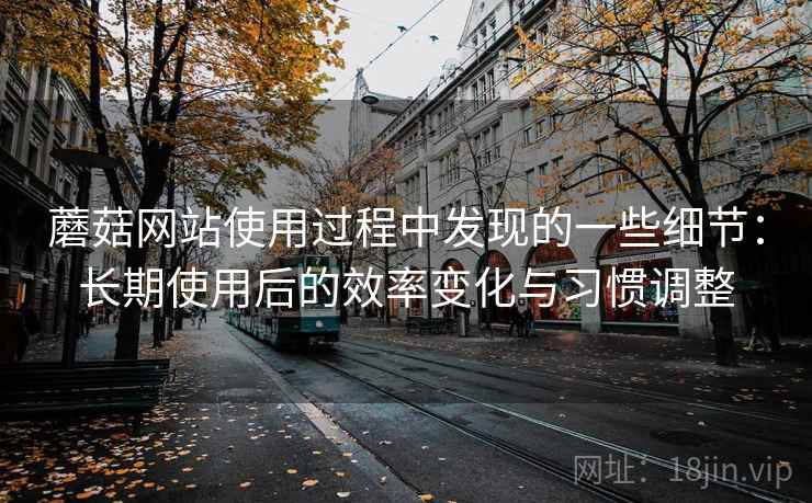 蘑菇网站使用过程中发现的一些细节：长期使用后的效率变化与习惯调整