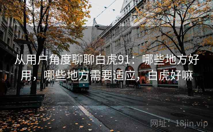 从用户角度聊聊白虎91：哪些地方好用，哪些地方需要适应，白虎好嘛