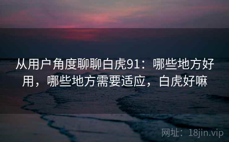 从用户角度聊聊白虎91:哪些地方好用,哪些地方需要适应,白虎好嘛 从用户角度聊聊白虎91:哪些地方好用,哪些地方需要适应,白虎好嘛