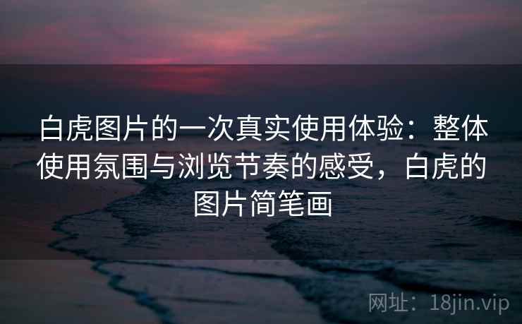 白虎图片的一次真实使用体验：整体使用氛围与浏览节奏的感受，白虎的图片简笔画