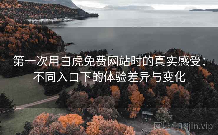 第一次用白虎免费网站时的真实感受：不同入口下的体验差异与变化