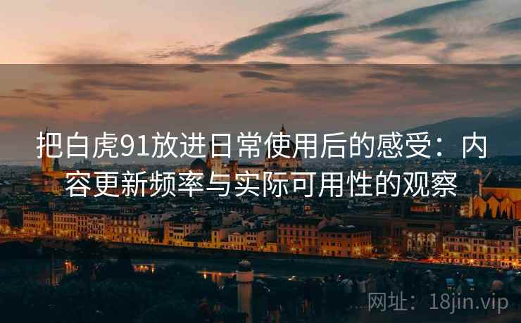 把白虎91放进日常使用后的感受：内容更新频率与实际可用性的观察