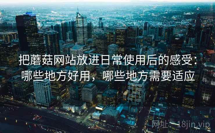 把蘑菇网站放进日常使用后的感受：哪些地方好用，哪些地方需要适应