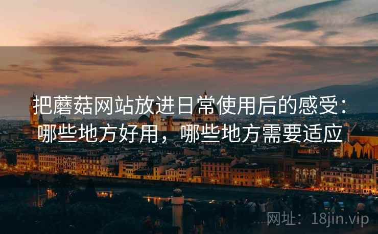 把蘑菇网站放进日常使用后的感受：哪些地方好用，哪些地方需要适应