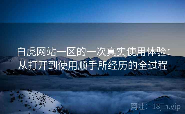 白虎网站一区的一次真实使用体验：从打开到使用顺手所经历的全过程