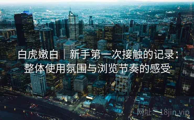 白虎嫩白|新手第一次接触的记录:整体使用氛围与浏览节奏的感受 白虎嫩白|新手第一次接触的记录:整体使用氛围与浏览节奏的感受
