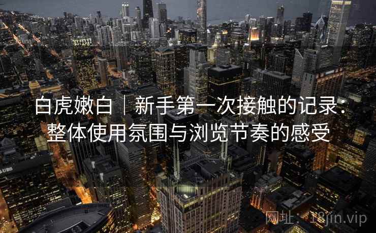 白虎嫩白｜新手第一次接触的记录：整体使用氛围与浏览节奏的感受
