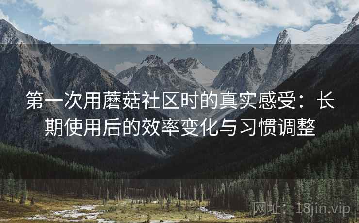 第一次用蘑菇社区时的真实感受：长期使用后的效率变化与习惯调整
