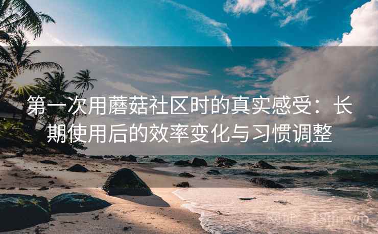第一次用蘑菇社区时的真实感受：长期使用后的效率变化与习惯调整