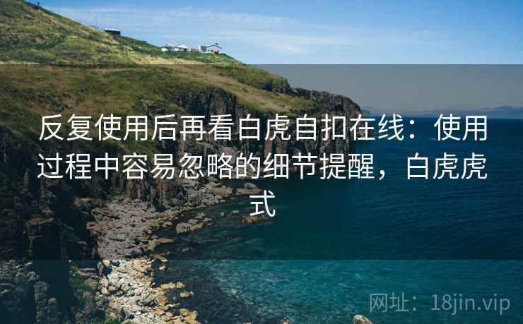 反复使用后再看白虎自扣在线：使用过程中容易忽略的细节提醒，白虎虎式