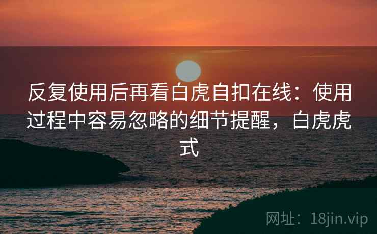 反复使用后再看白虎自扣在线：使用过程中容易忽略的细节提醒，白虎虎式