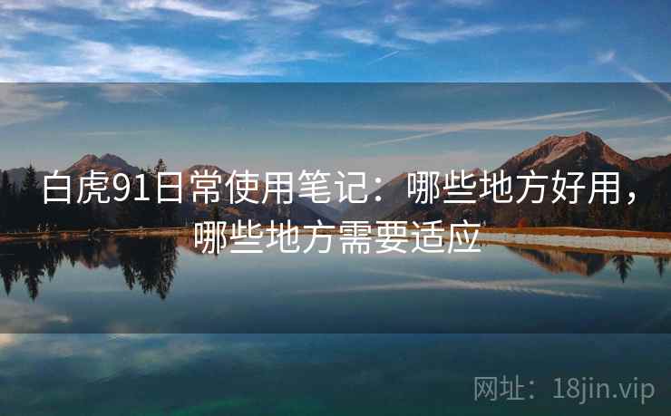 白虎91日常使用笔记：哪些地方好用，哪些地方需要适应