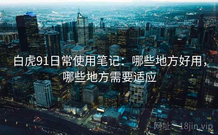 白虎91日常使用笔记:哪些地方好用,哪些地方需要适应 白虎91日常使用笔记:哪些地方好用,哪些地方需要适应
